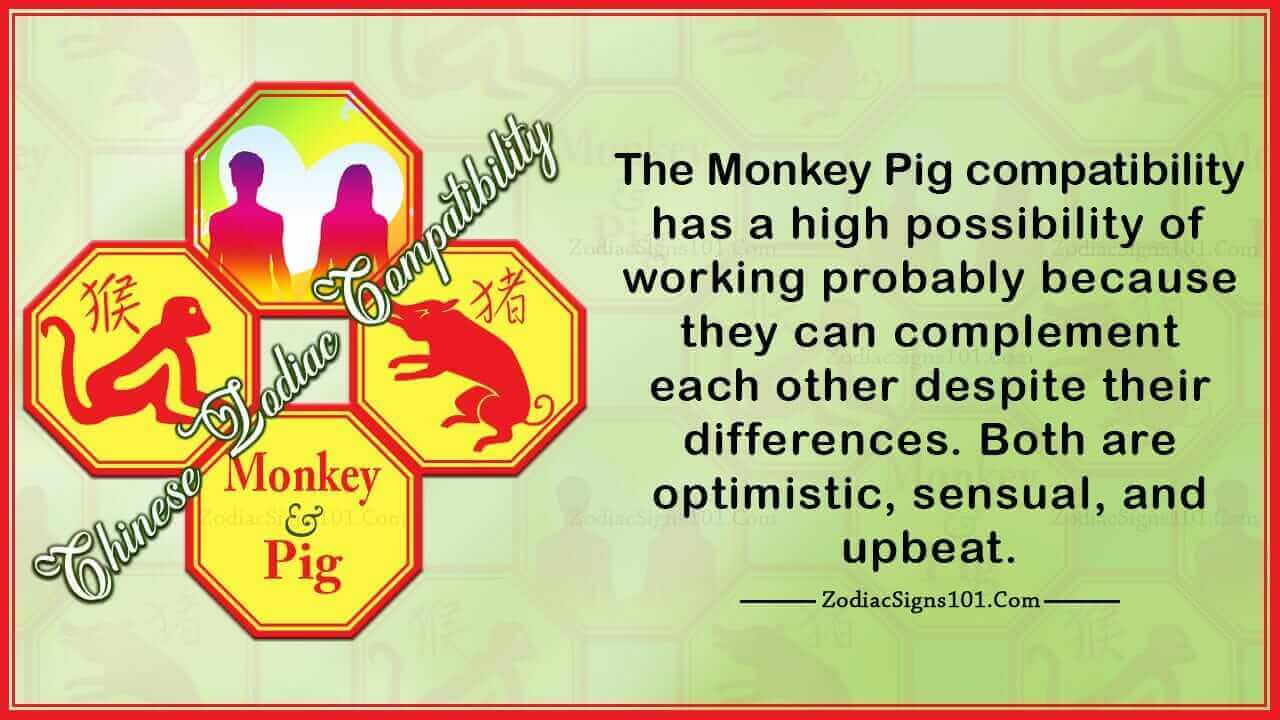 Monkey Pig Compatibility