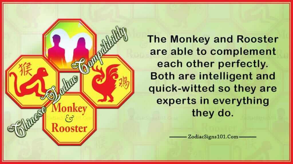 Monkey Rooster Compatibility