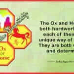 ox horse