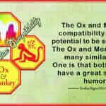 Ox Monkey