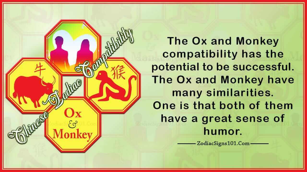 Ox Monkey