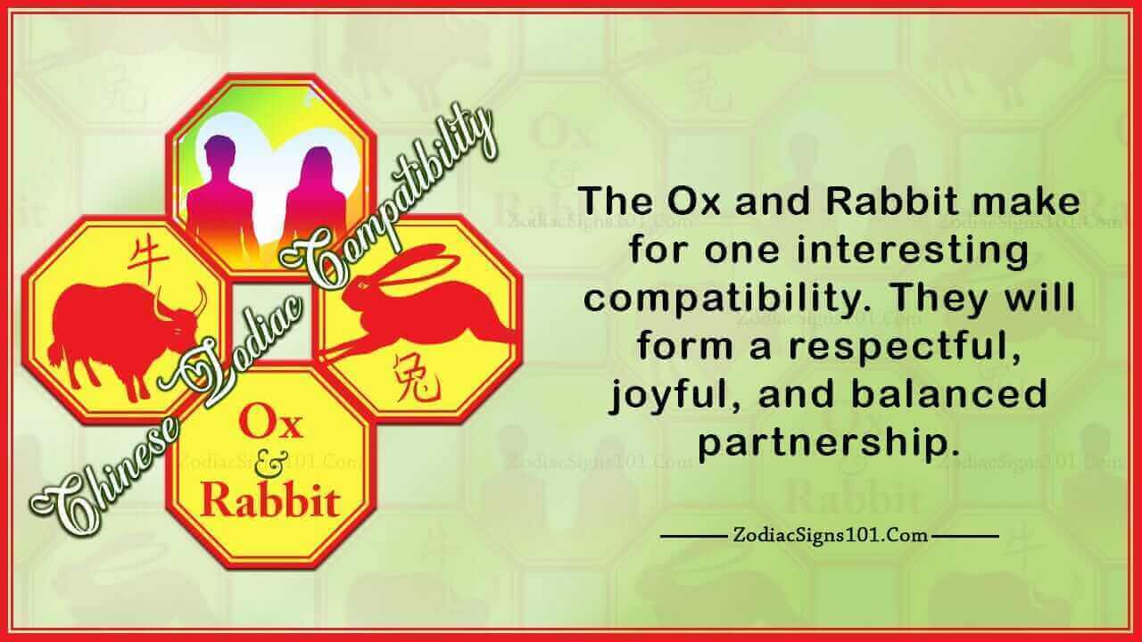 Ox Rabbit