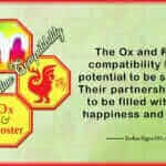 Ox Rooster