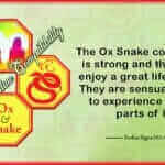Ox Snake
