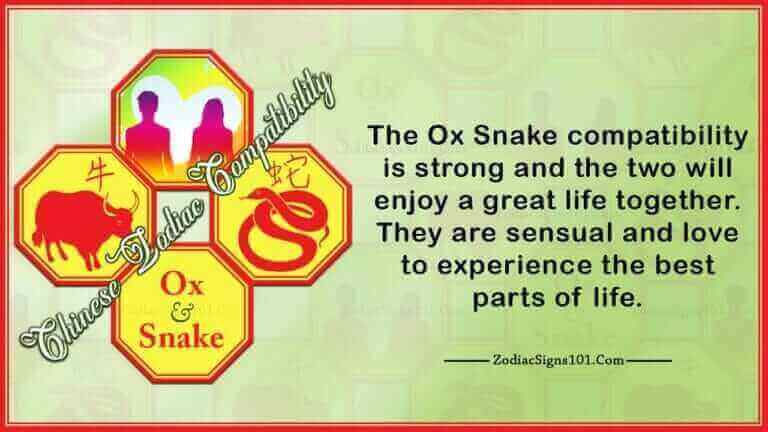 Ox Snake