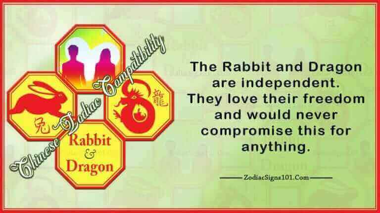 rabbit dragon
