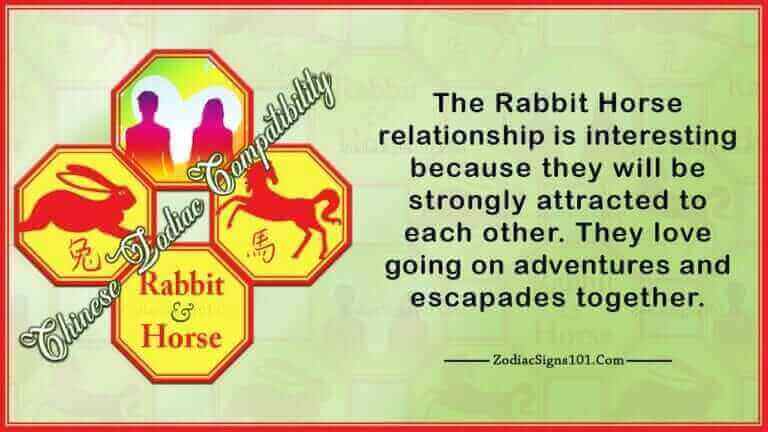 rabbit horse