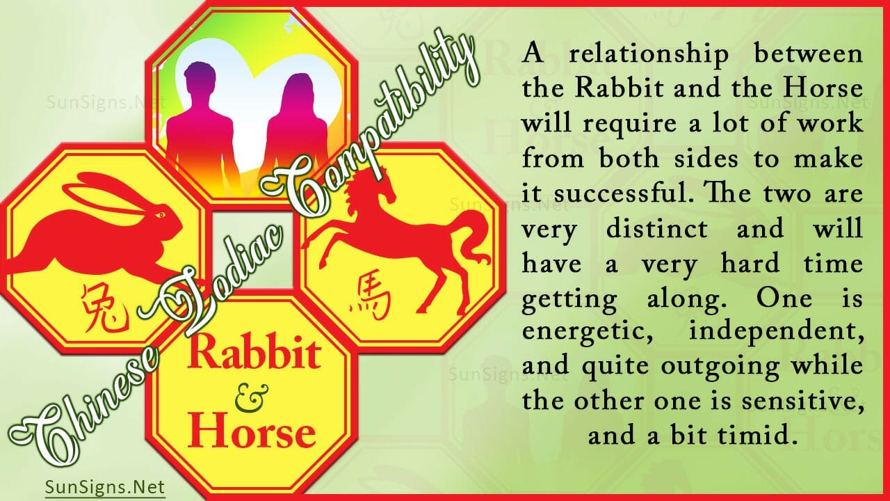 Rabbit Horse Compatibility Understanding with Care Zodiac Signs 101