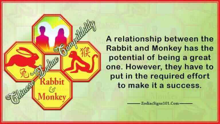 Rabbit Monkey