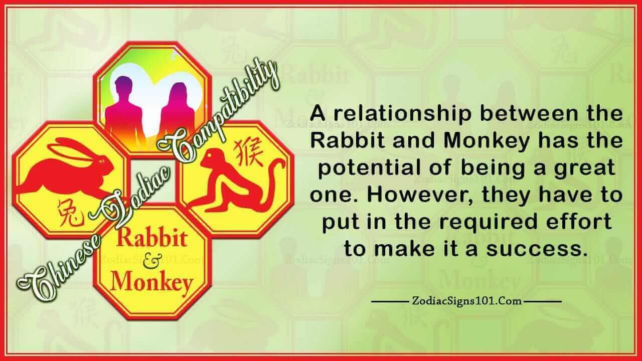 Rabbit Monkey