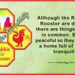 Rabbit Rooster
