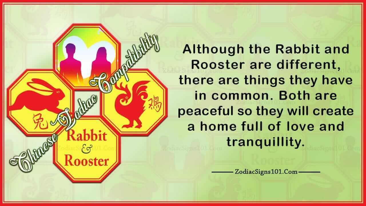 Rabbit Rooster
