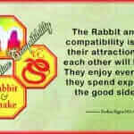 Rabbit Snake