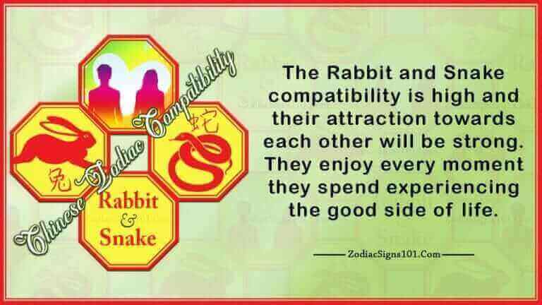 Rabbit Snake