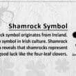 Shamrock Symbol