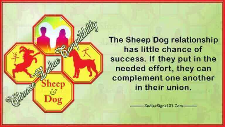 Sheep Dog