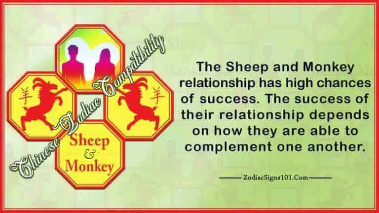 Sheep Monkey