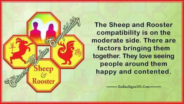 Sheep Rooster