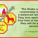 Snake Dog