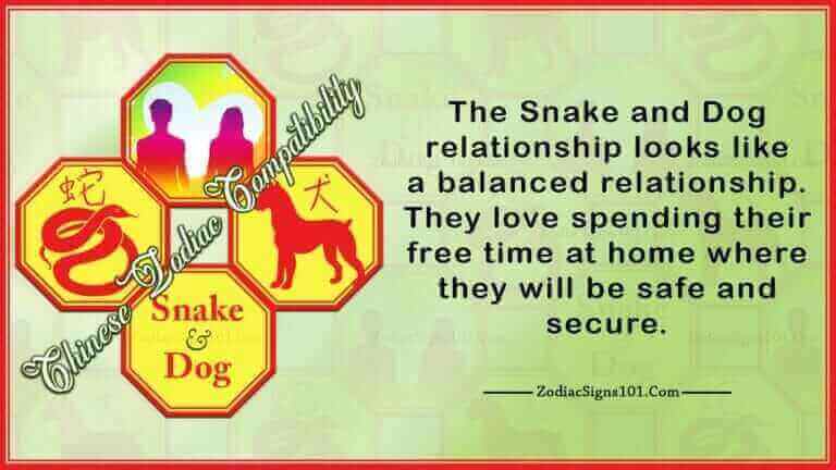 Snake Dog