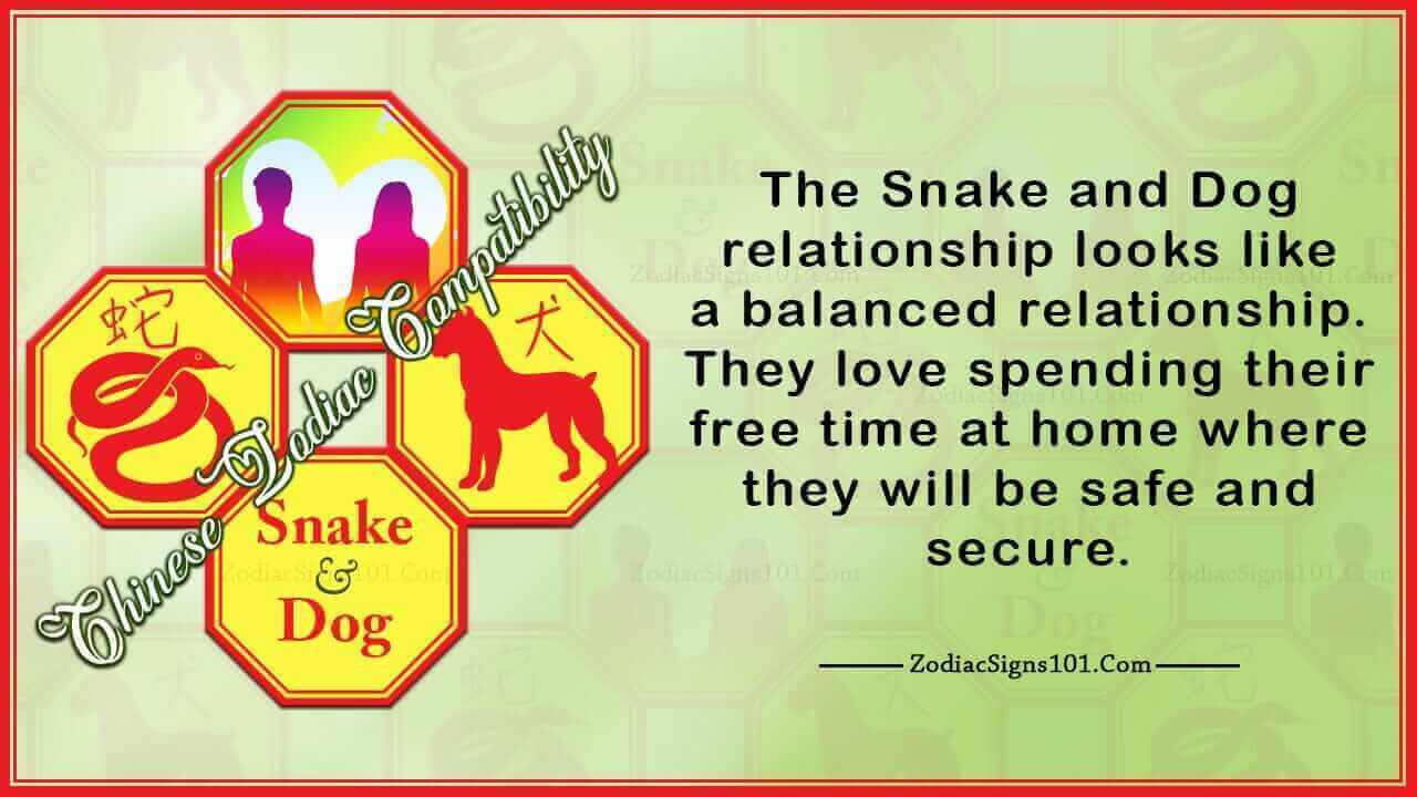 Snake Dog