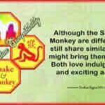 Snake Monkey