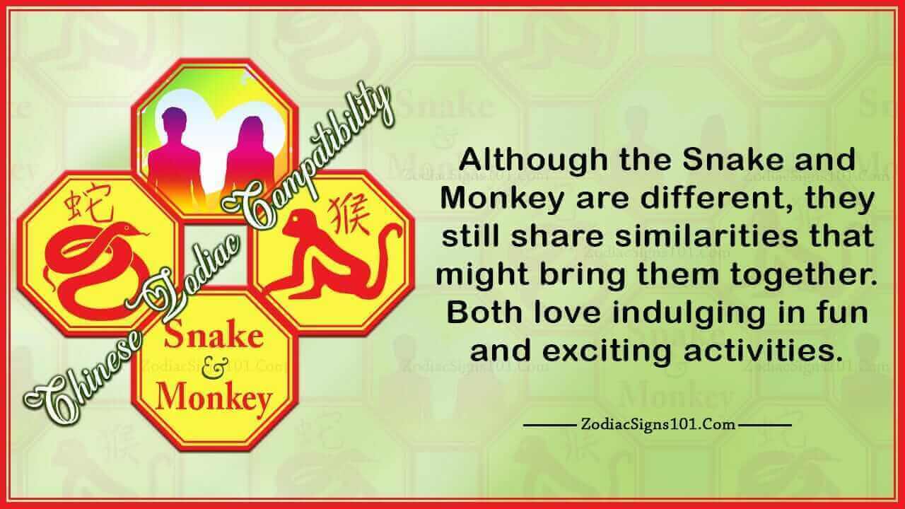 snake monkey