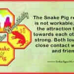 Snake Pig