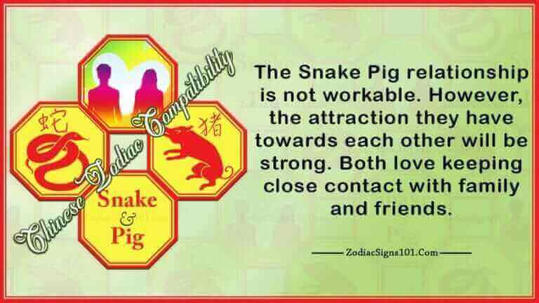 Snake Pig