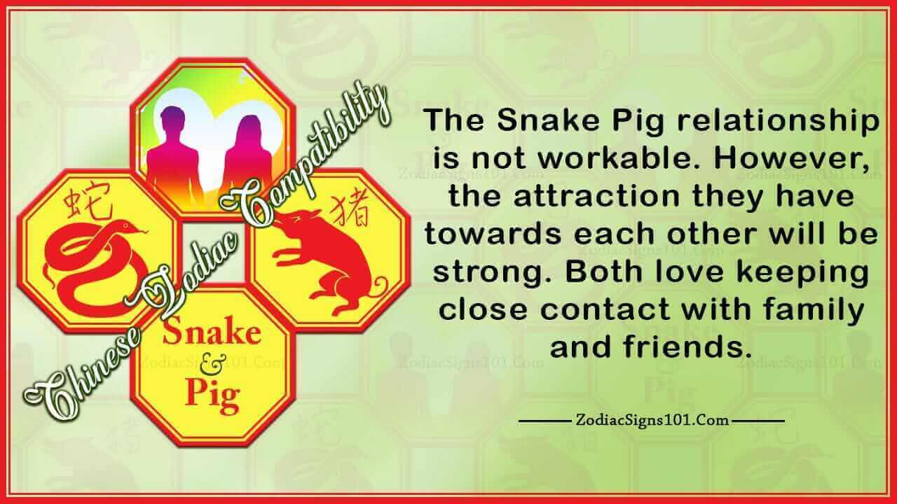 Snake Pig