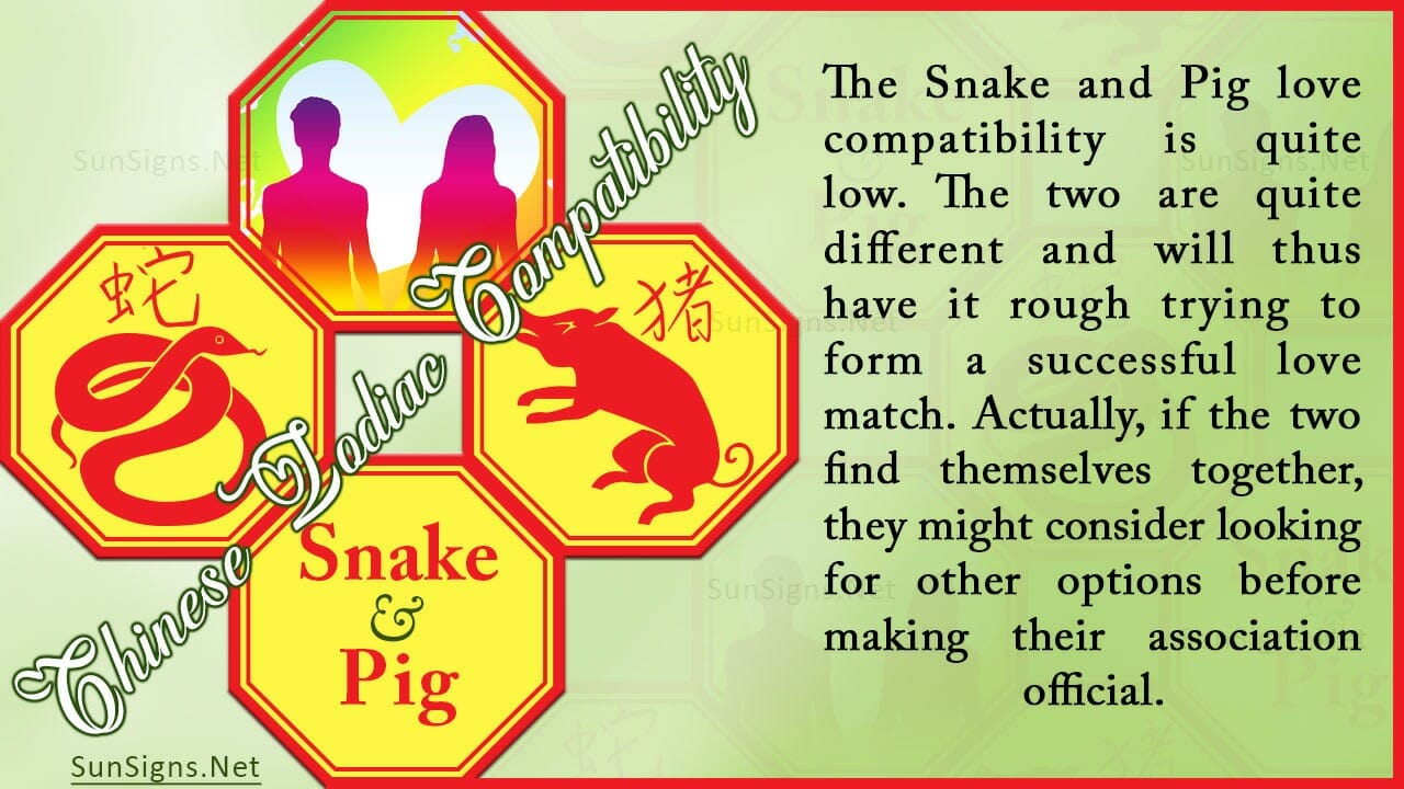 Snake pig compatibility