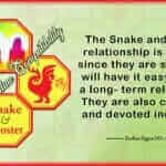 Snake Rooster