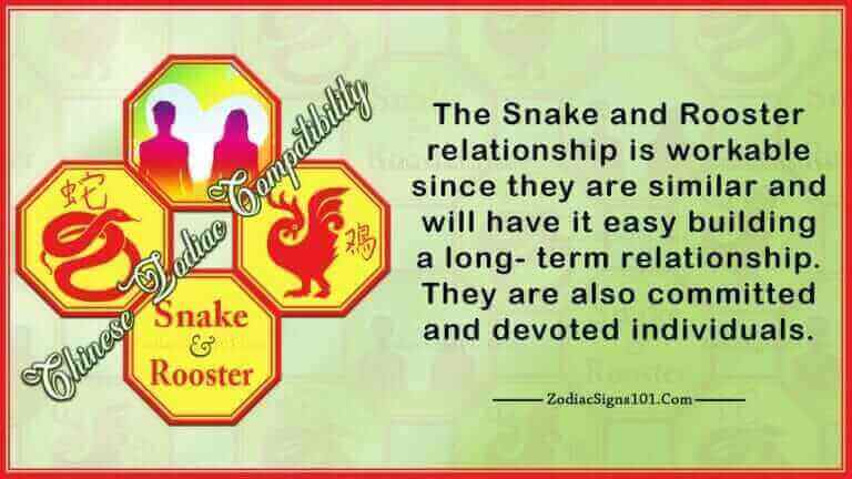 Snake Rooster