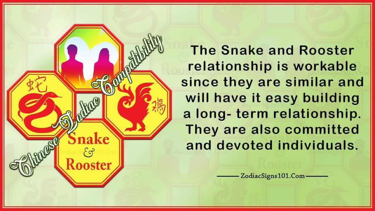 Snake Rooster