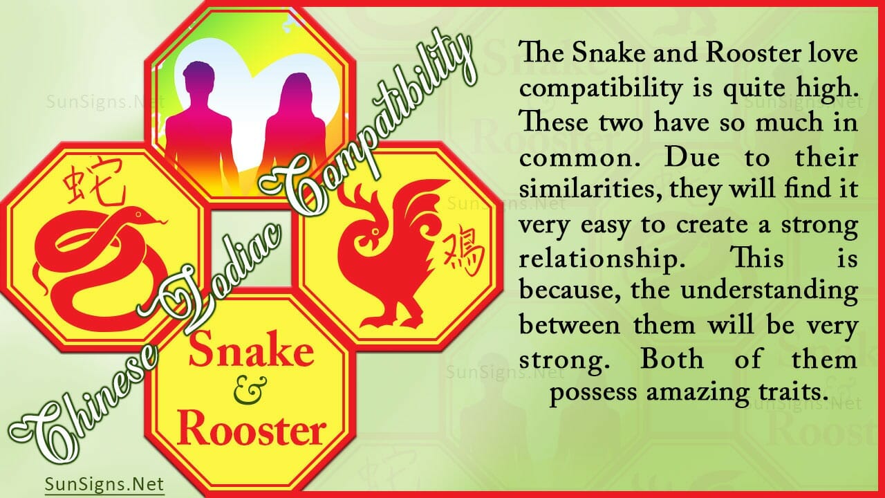 snake-rooster-compatibility-complementary-and-different-zodiac-signs-101