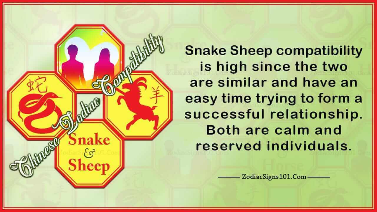 Snake Sheep