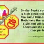 Snake Snake