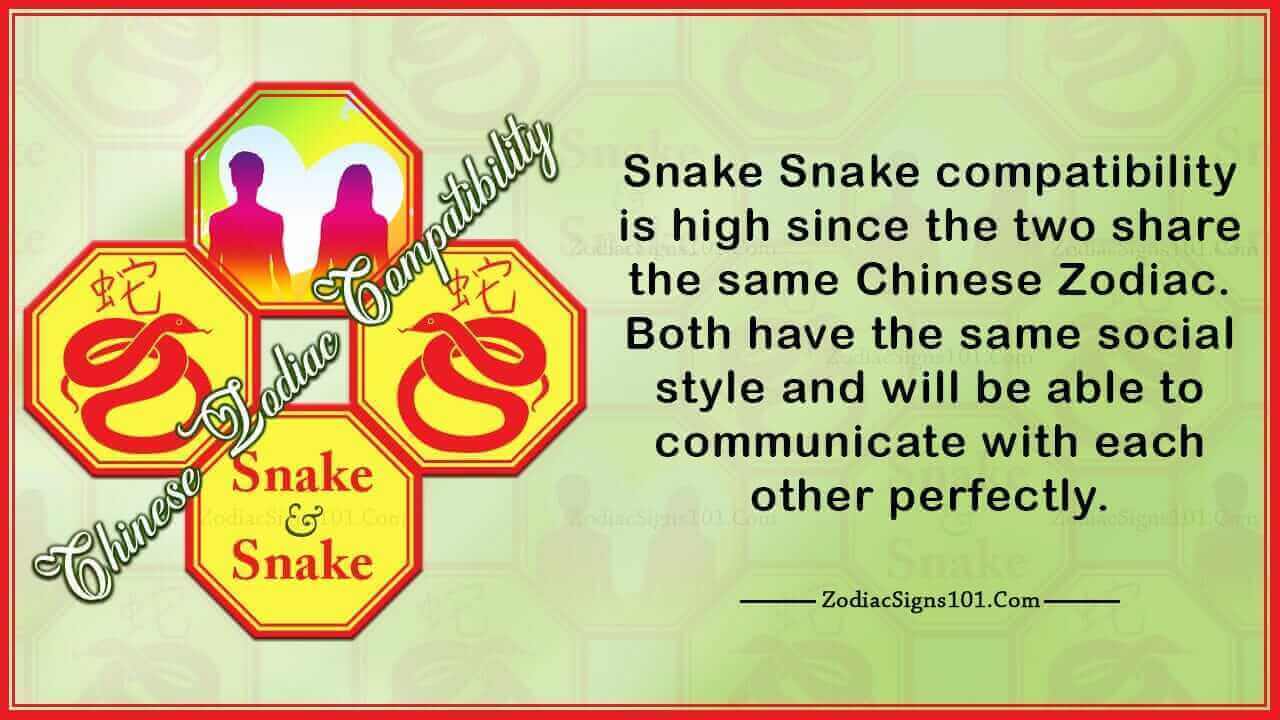 Snake Snake