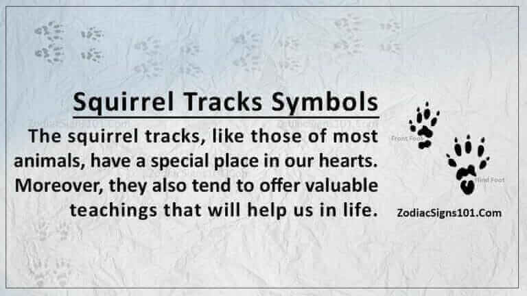 Squirrel Tracks Symbols