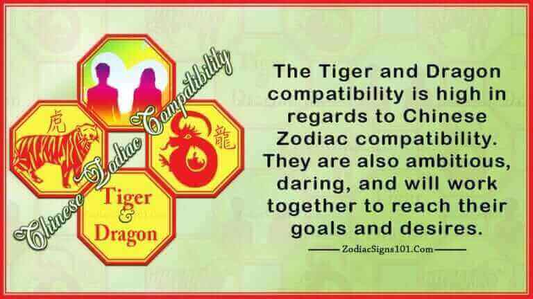 tiger dragon