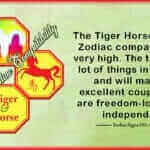 Tiger Horse