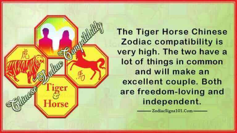 tiger horse