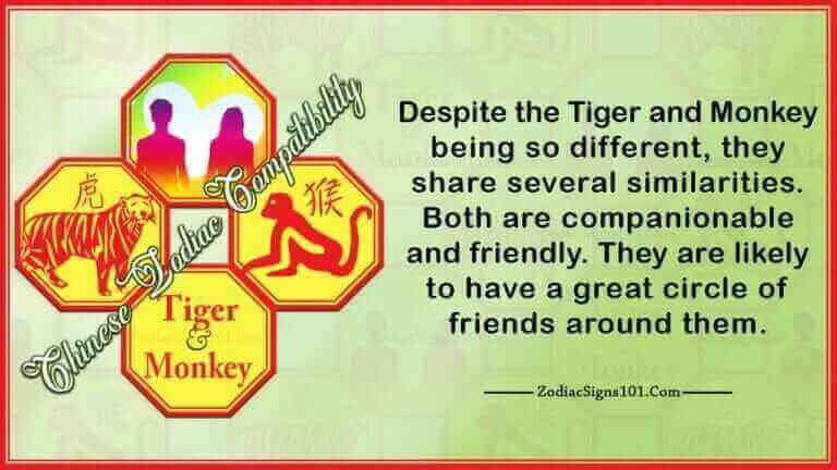 tiger monkey