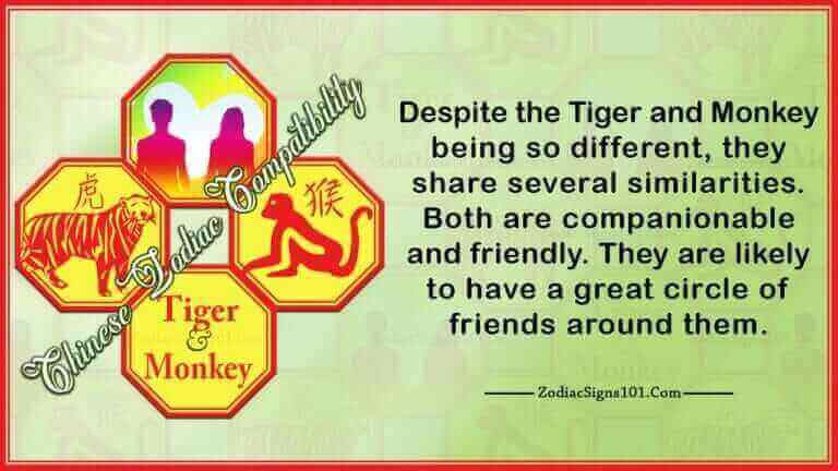 Tiger Monkey