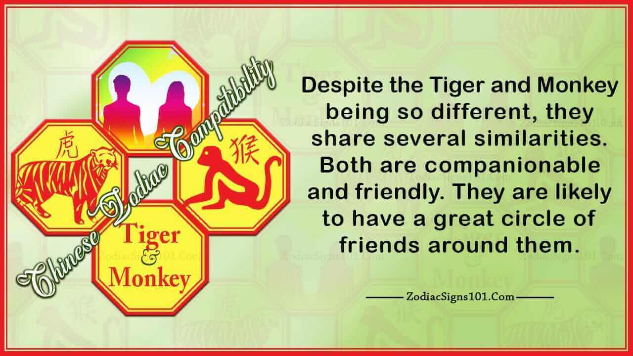 tiger monkey