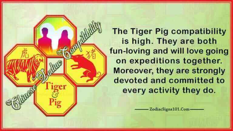 Tiger Pig