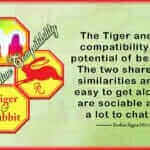 Tiger Rabbit