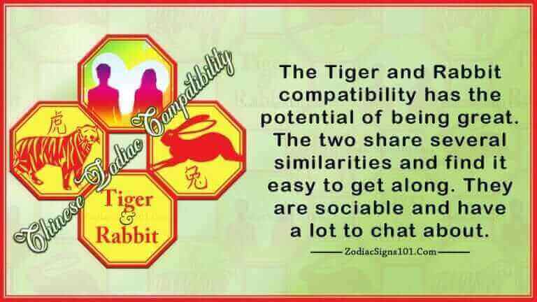 Tiger Rabbit