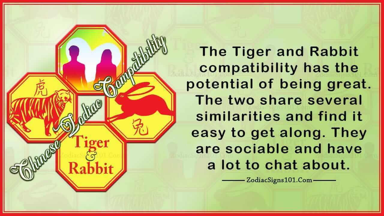 Tiger Rabbit Compatibility Possible and Distinct ZodiacSigns101