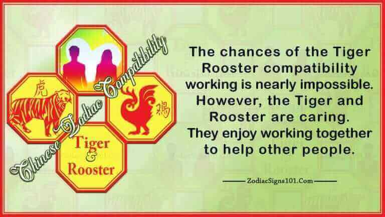 tiger rooster